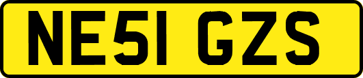 NE51GZS