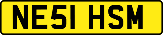 NE51HSM