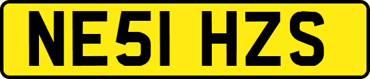 NE51HZS