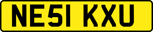NE51KXU
