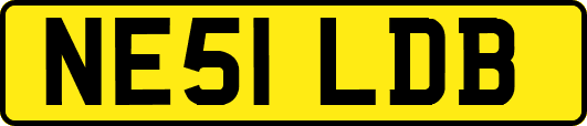 NE51LDB