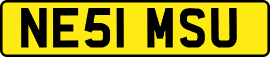 NE51MSU
