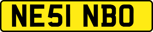 NE51NBO