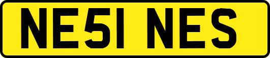 NE51NES