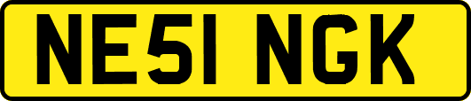 NE51NGK
