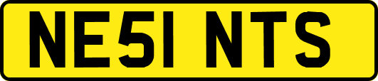 NE51NTS
