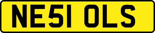 NE51OLS