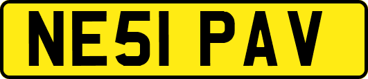 NE51PAV