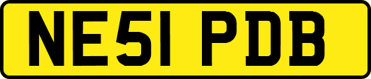 NE51PDB