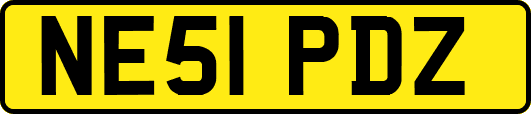 NE51PDZ