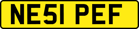 NE51PEF