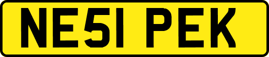 NE51PEK