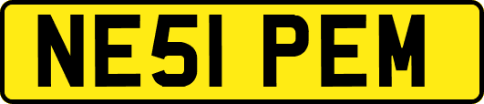 NE51PEM