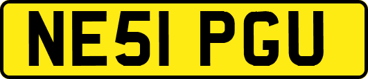 NE51PGU