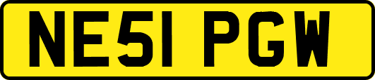 NE51PGW