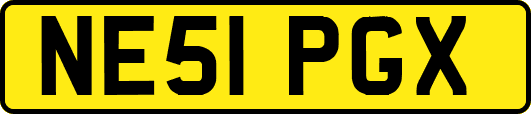 NE51PGX