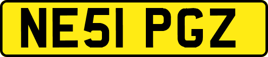 NE51PGZ