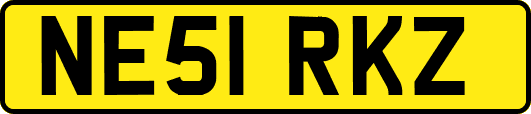 NE51RKZ