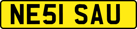 NE51SAU