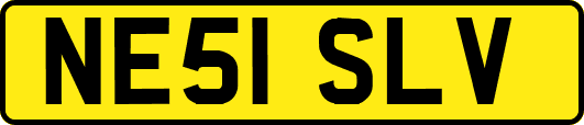 NE51SLV