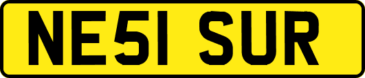 NE51SUR