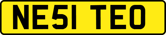 NE51TEO