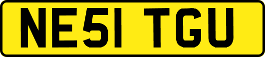 NE51TGU