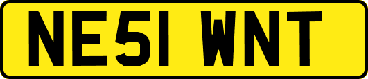 NE51WNT