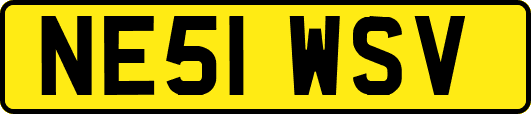 NE51WSV
