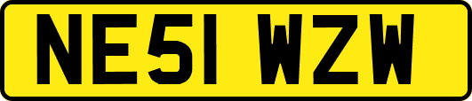NE51WZW
