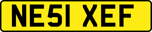 NE51XEF