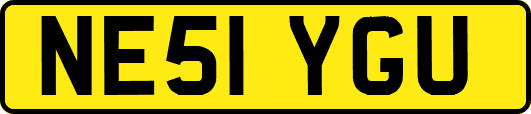 NE51YGU
