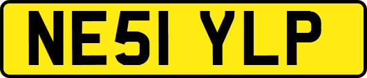 NE51YLP