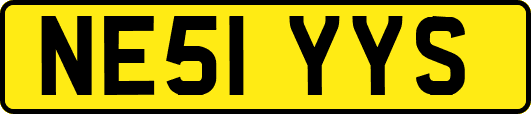 NE51YYS
