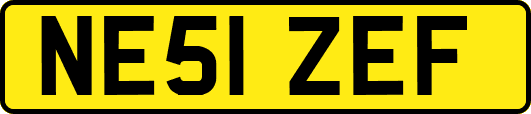 NE51ZEF