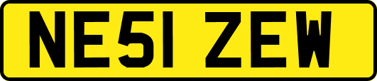 NE51ZEW