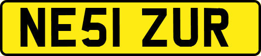 NE51ZUR