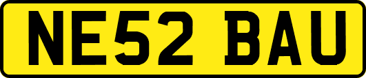 NE52BAU