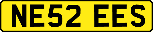 NE52EES