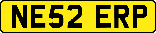 NE52ERP