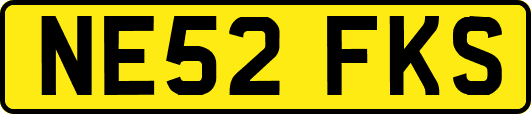 NE52FKS