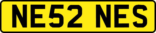 NE52NES