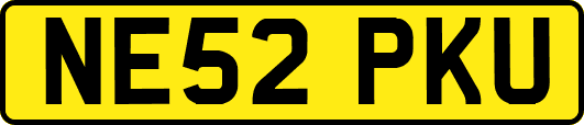 NE52PKU