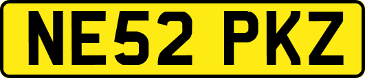 NE52PKZ
