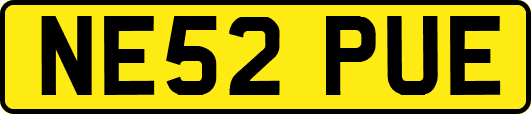 NE52PUE