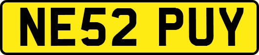 NE52PUY