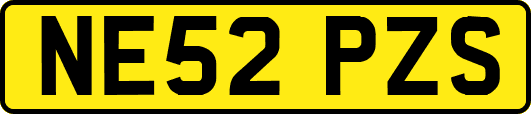 NE52PZS