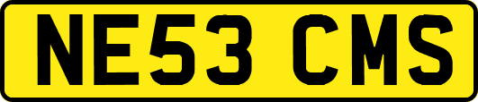 NE53CMS
