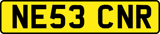 NE53CNR