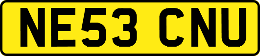 NE53CNU